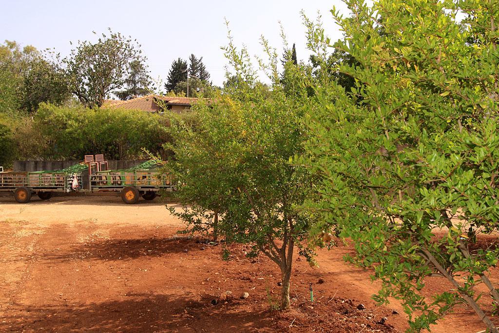 Hapagoda Bapina Rosh Pinna Exterior foto